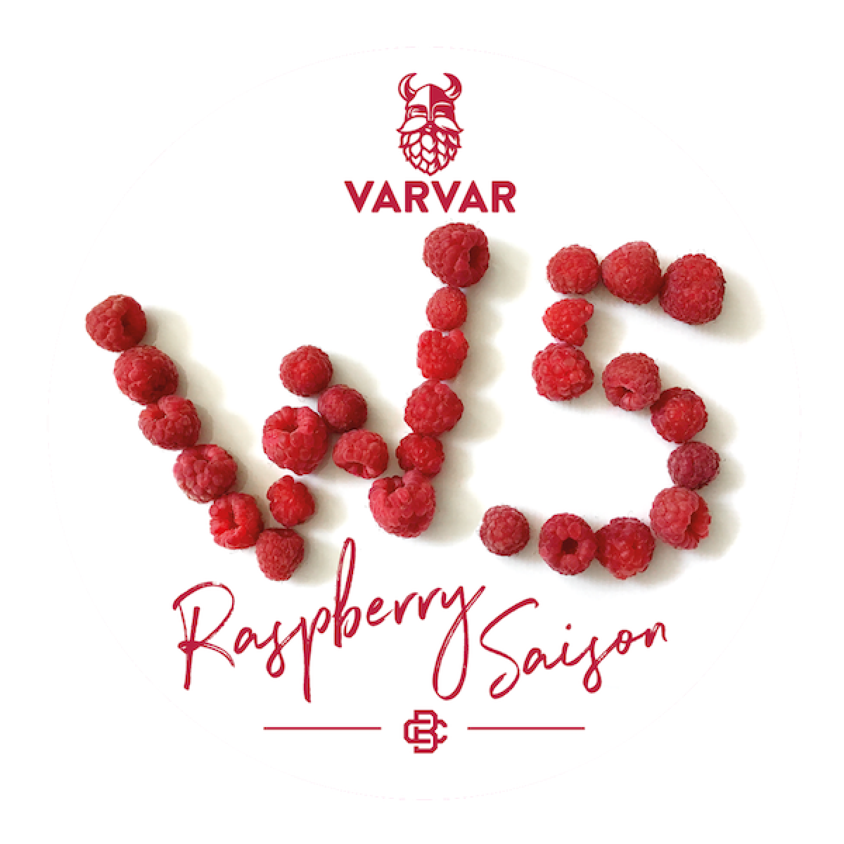 W5 RASPBERRY SAISON