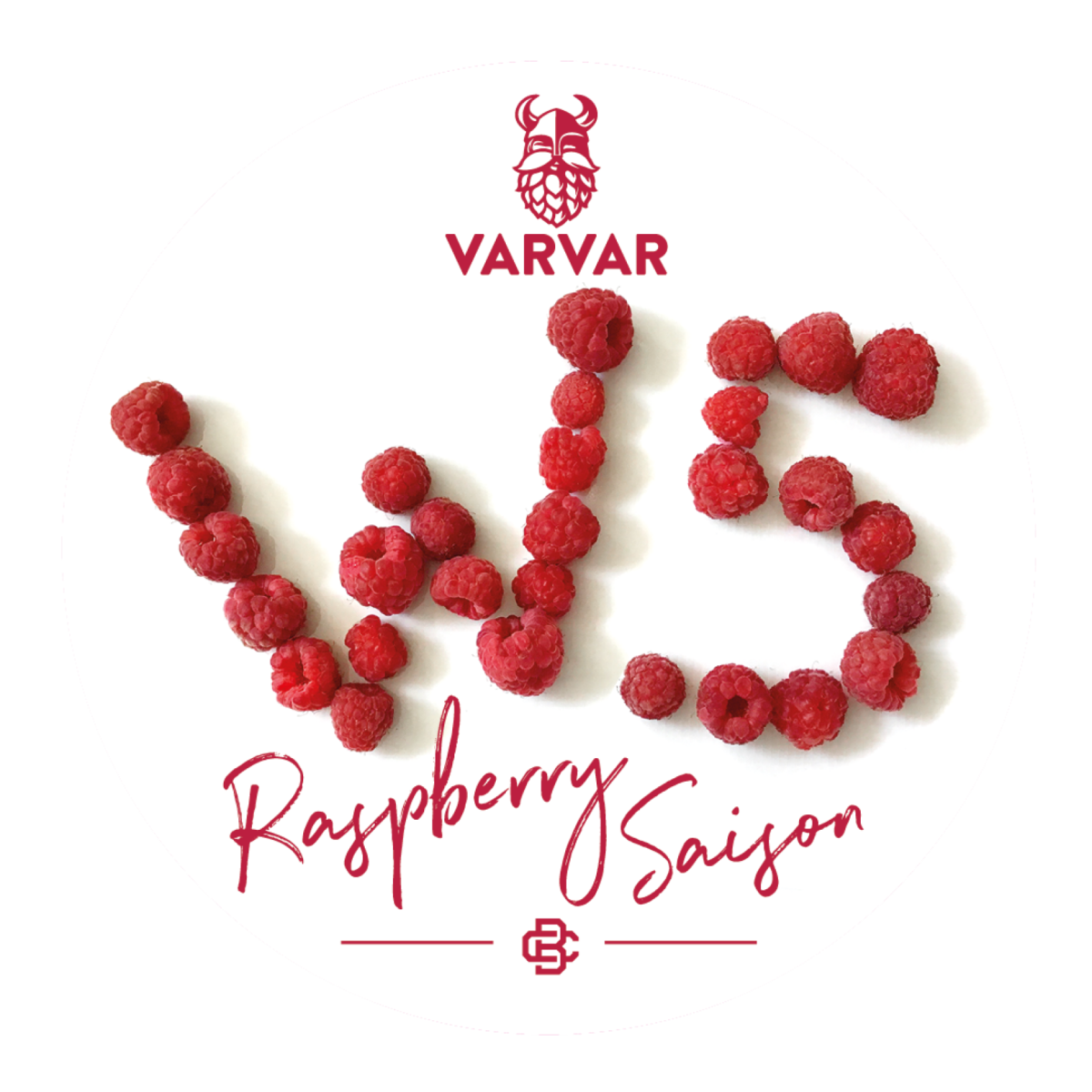 W5 RASPBERRY SAISON