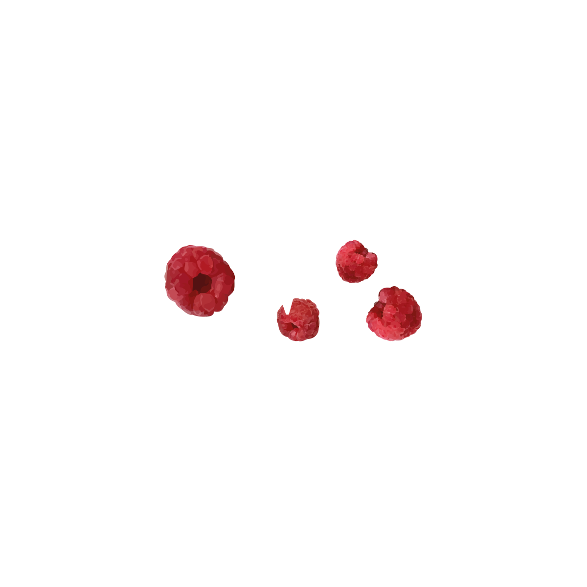W5 RASPBERRY SAISON