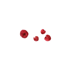 W5 RASPBERRY SAISON