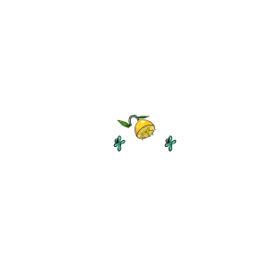 CITRUS SHOWER