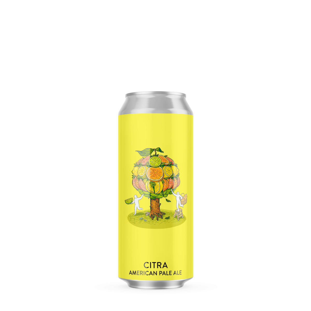 Пиво VARVAR CITRA APA світле 6.0% 0.33л