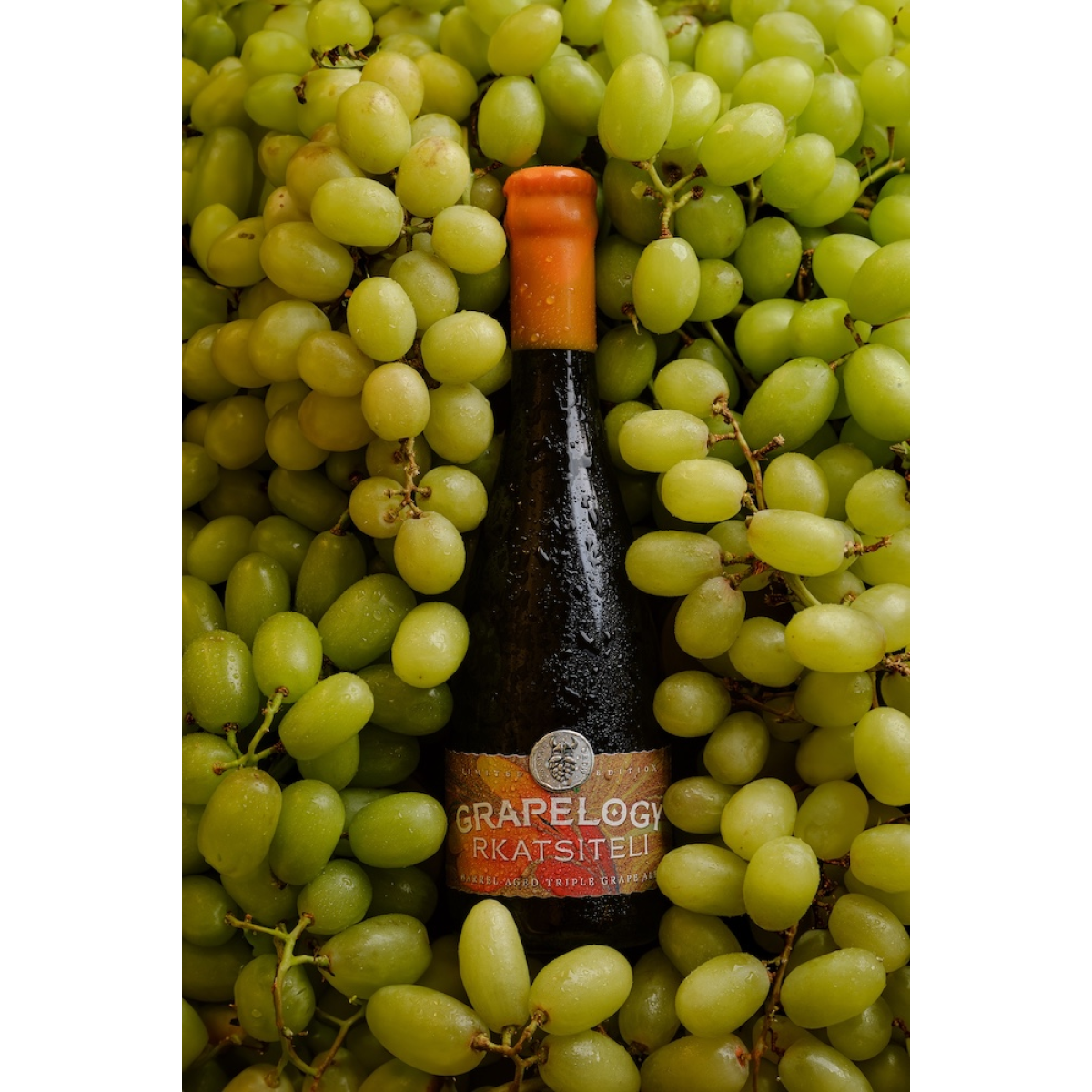Пиво VARVAR GRAPELOGY світле 11.5% 0.375л