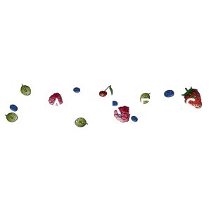 STRANGER FRUITS BLACK CURRANT