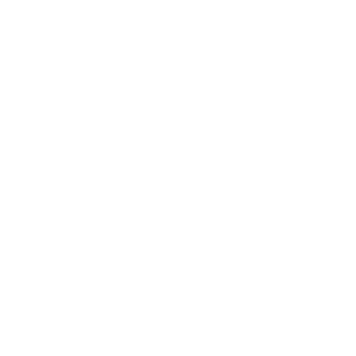 HANSEN`S BOAT