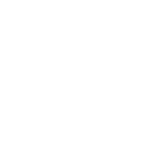 HANSEN`S BOAT