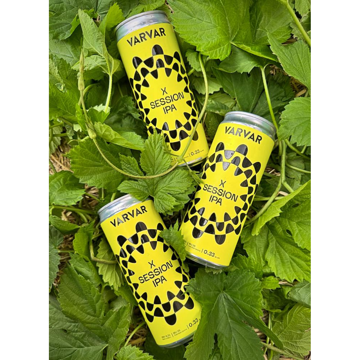 X-SESSION IPA